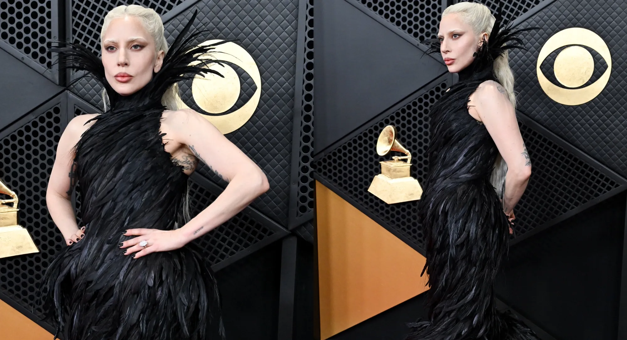 Lady Gaga Wears Feathered Metières Fécales Dress