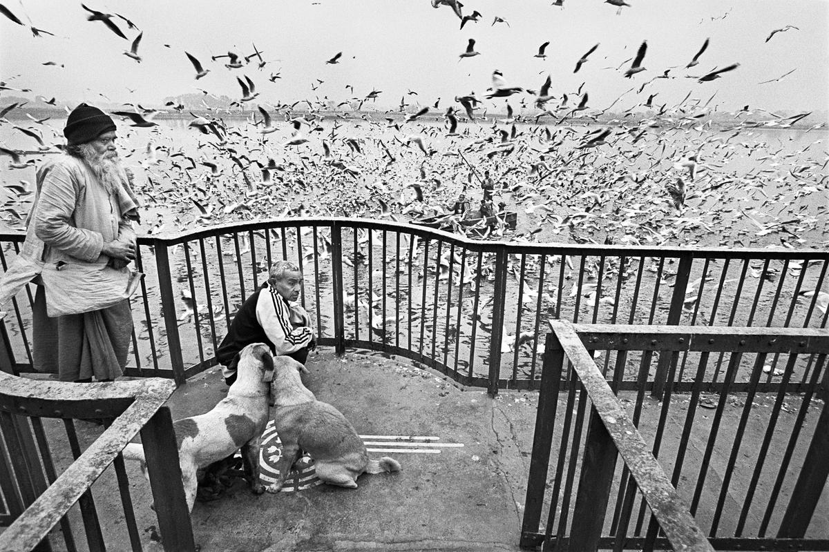 Raghu Rai